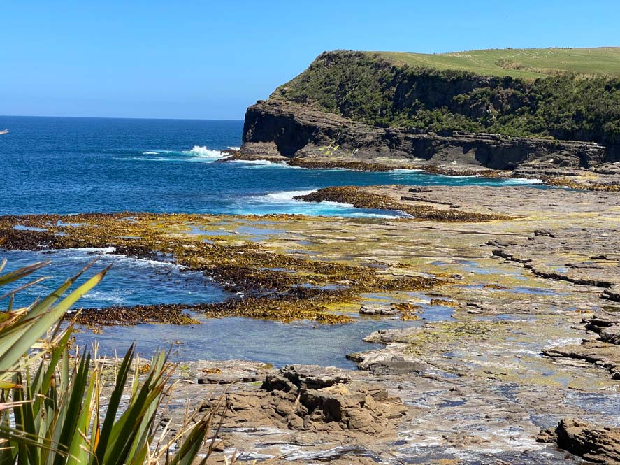 Die Catlins: 11 Tipps für Neuseelands unentdecktes Paradies im Süden curio-bay-sehenswuerdigkeiten-catlins-suedspitze-neuseeland