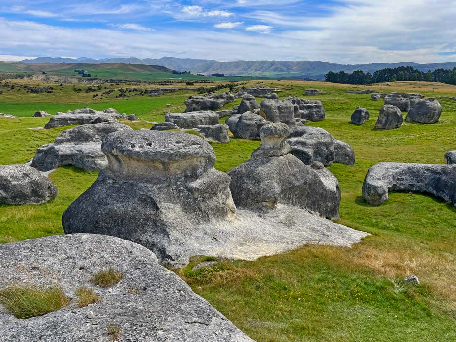 verschieden-geformte-graue-steine-auf-gruener-wiese-in-neuseeland