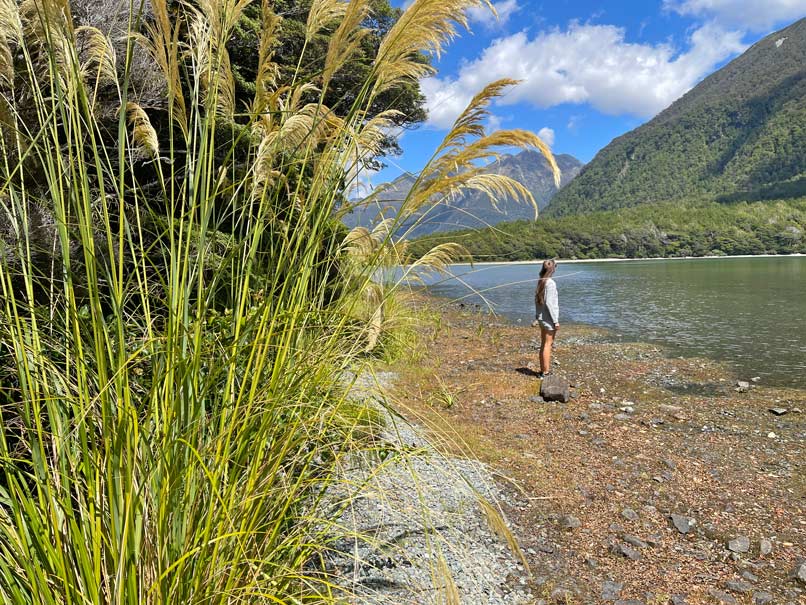 lake-gunn-wanderungen-te-anau-fahrt-milford-sound-neuseeland