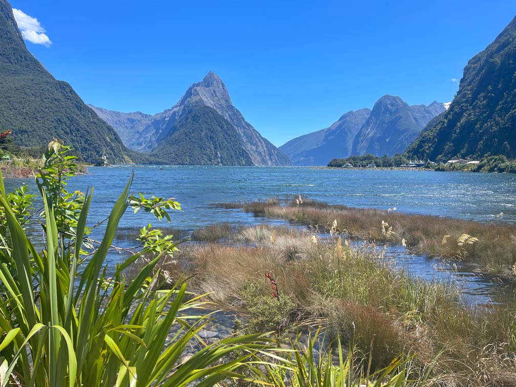 milford-sound-fjordlands-suedinsel-neuseeland-reisetipps