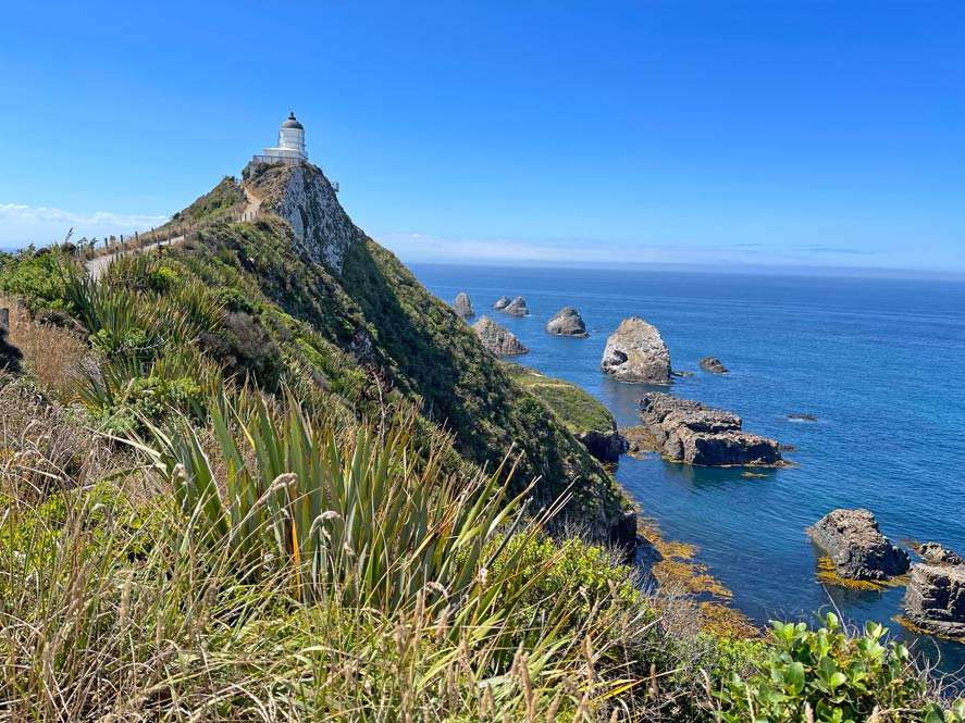 Die Catlins: 11 Tipps für Neuseelands unentdecktes Paradies im Süden nugget-point-lighthouse-sehenswuerdigkeiten-catlins-mit-kind