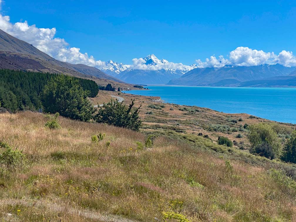 vorne-vertrocknete-gelbe-wiese-die-an-hellheuchtend-blauen-see-lake-pukaki-angrenzt-im-hintergrund-hoher-berg-mount-cook-mit-leichten-wolken