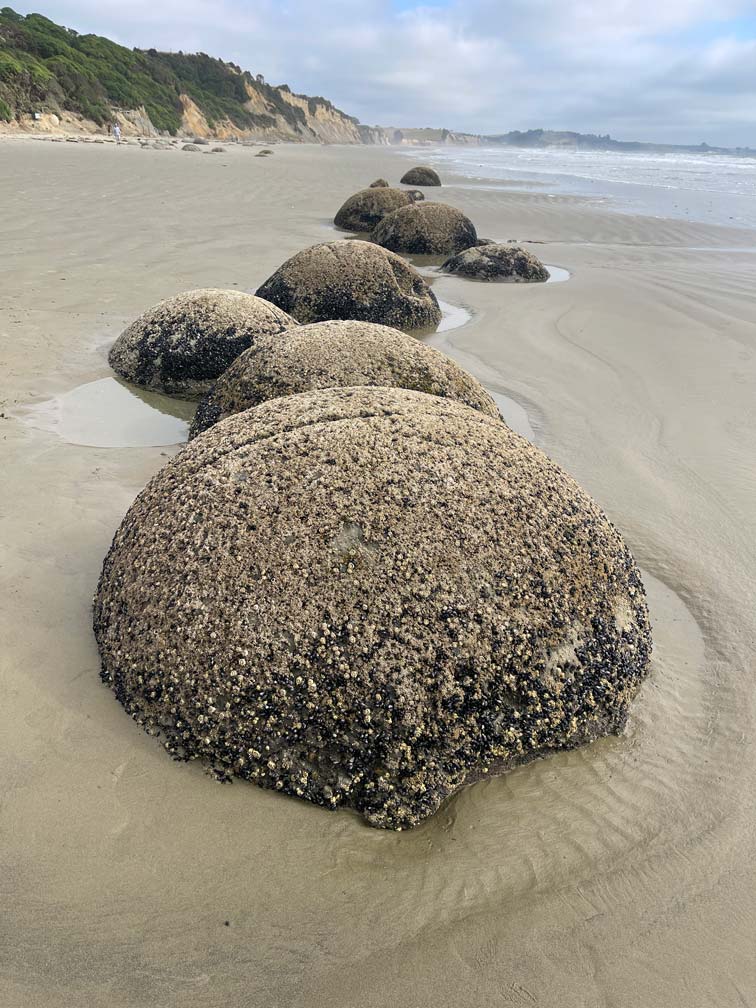 mehrere-runde-felsen-am-strand-in-neuseeland-moeraki-boulders