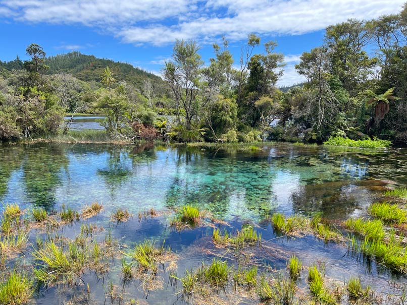 te-waikoropupu-springs-sehenswuerdigkeiten-tasman-nelson-region-neuseeland