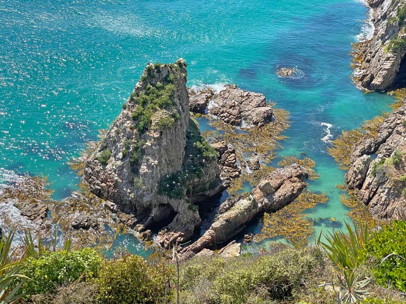 Die Catlins: 11 Tipps für Neuseelands unentdecktes Paradies im Süden the-catlins-wanderungen-mit-kind-nugget-point