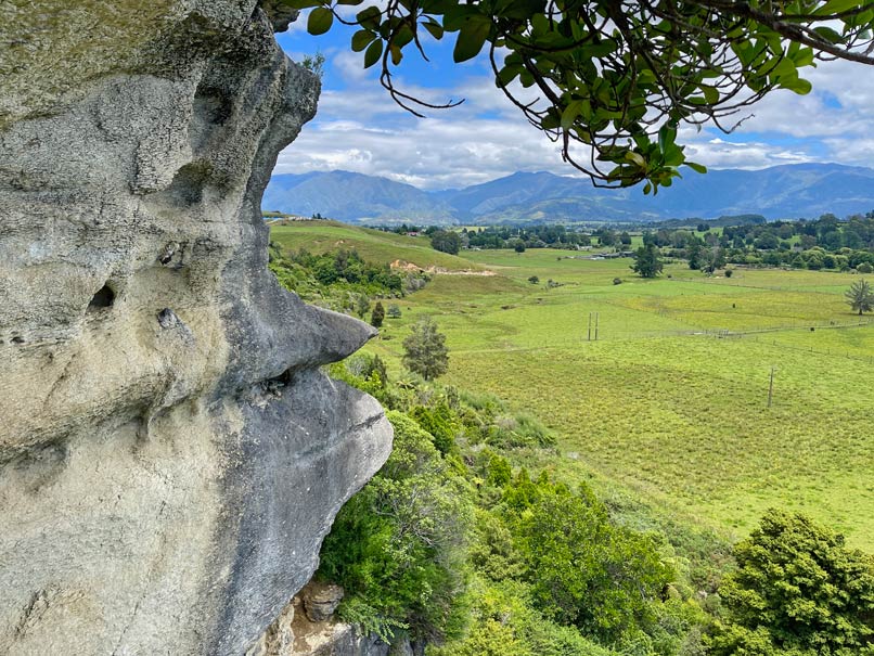 the grove scienic reserve attraktionen nelson tasman region suedinsel neuseeland