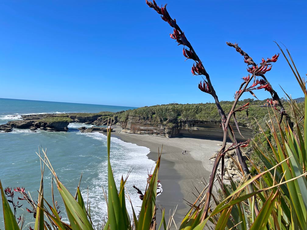 truman-track-sehenswuerdigkeiten-pancake-rocks-paparoa-nationalpark-bei-punakaiki