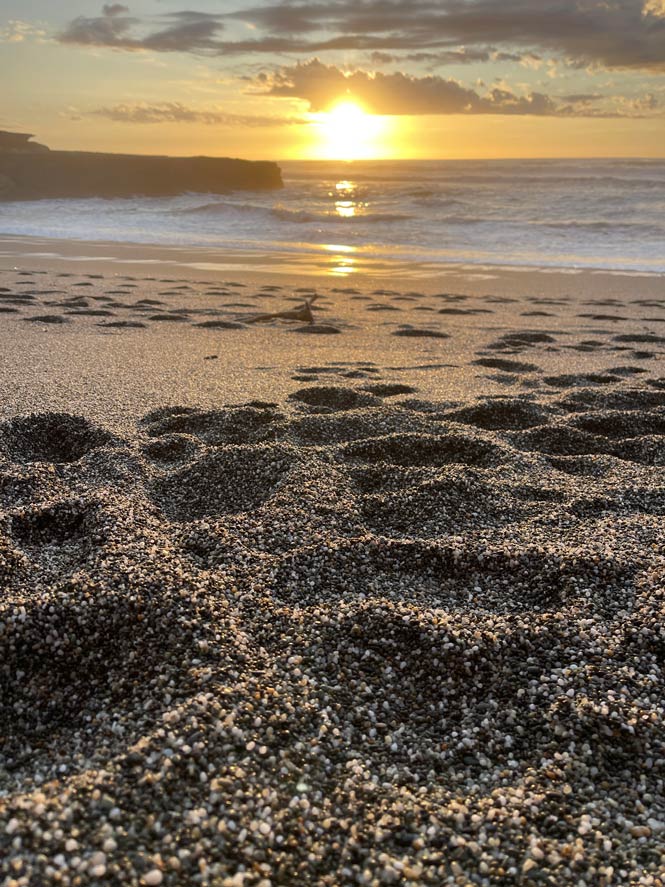 sonnenuntergang-ueber-dem-meer-blick-ueber-den-steinigen-strand-bis-zur-gelb-gluehenden-sonne-am-horizont-in-neuseeland