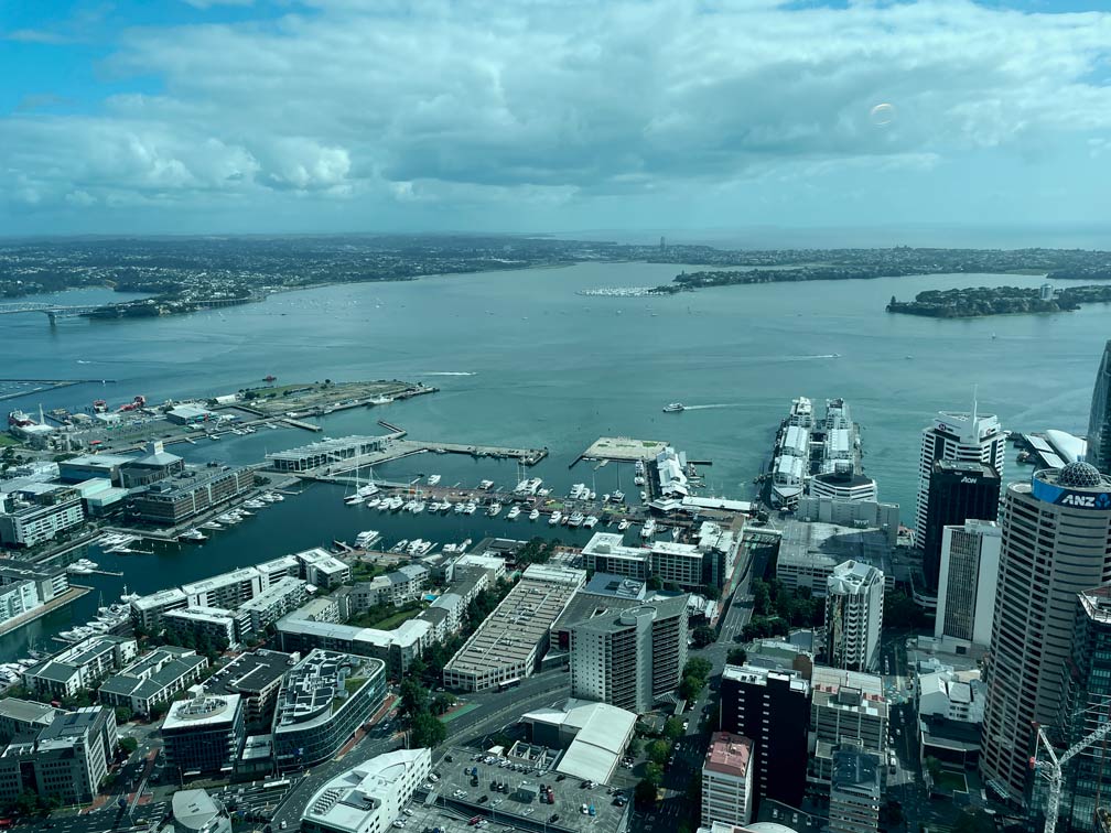 auckland-an-einem-tag-skytower