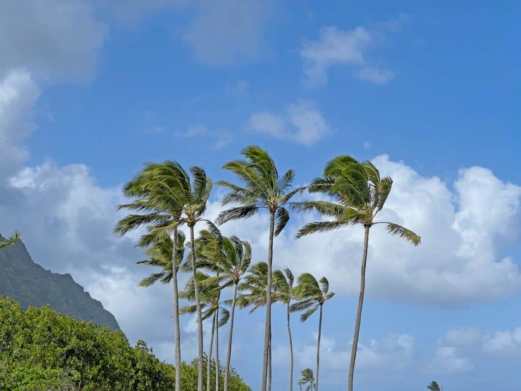 Oahu in Hawaii - die spektakulärsten Sehenswürdigkeiten + Tipps oahu-hawaii-mit-kind-reisetipps