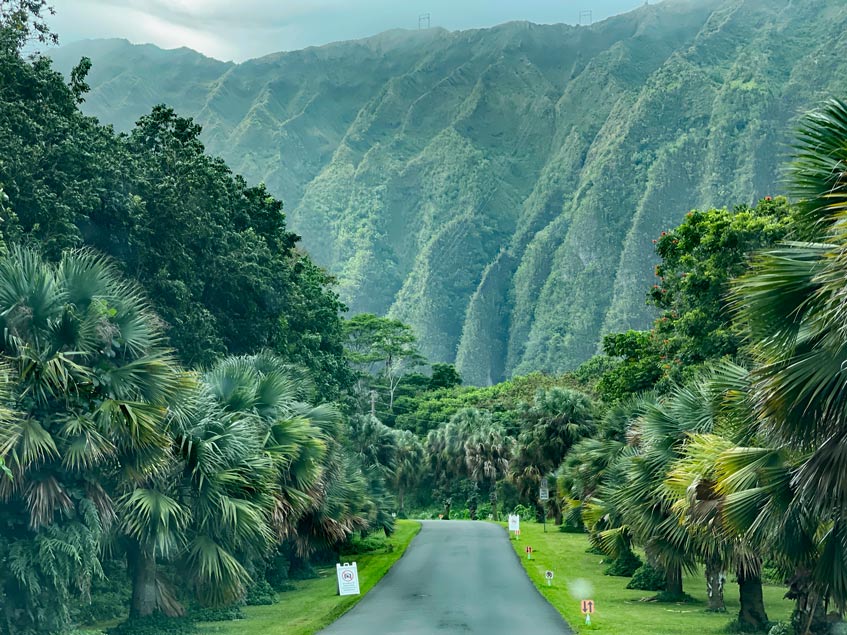 Oahu in Hawaii - die spektakulärsten Sehenswürdigkeiten + Tipps oahu-kostenlose-attraktionen-botanischer-garten-mietwagen-hawaii