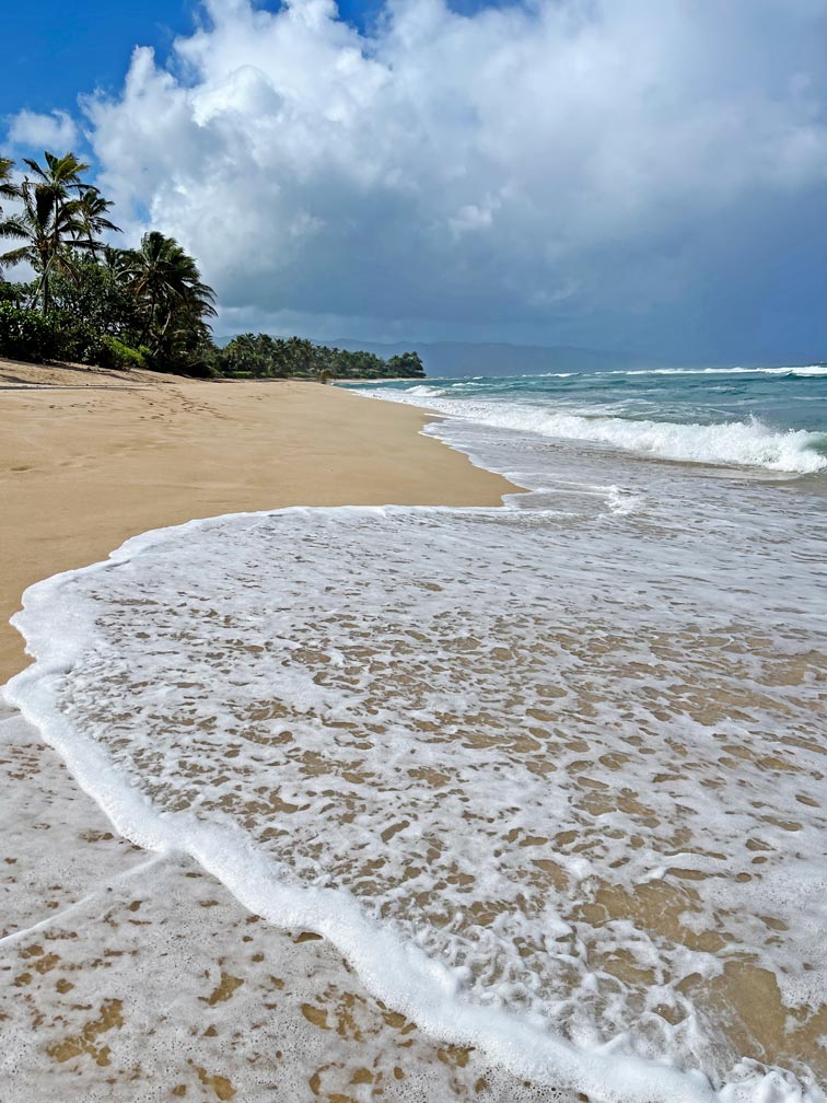 wellen-auf-hellem-sandstrand-mit-palmen-am-northshore-oahu