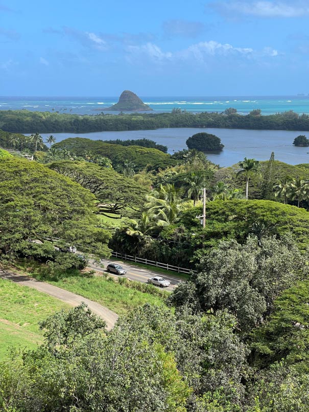 Oahu in Hawaii - die spektakulärsten Sehenswürdigkeiten + Tipps oahu per mietwagen hawaii sehenswuerdigkeiten 1
