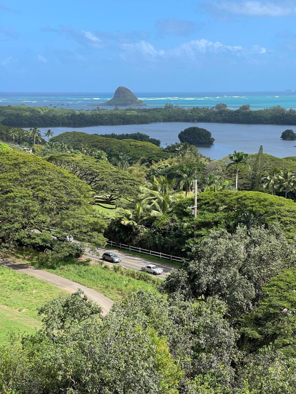 gruene-landschaft-mit-blick-auf-meer-und-ungewoehnlich-geformte-kleine-insel