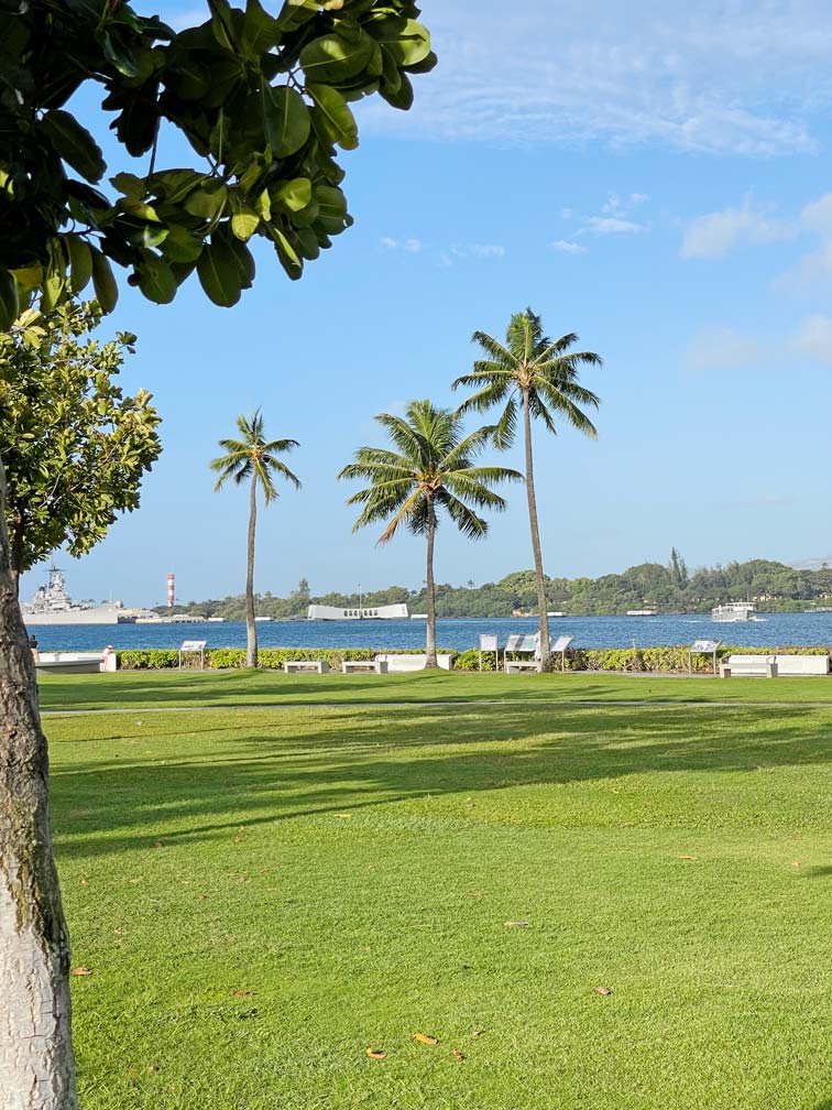 gruene-wiese-mit-plamen-und-denkmahl-auf-pearl-harbour