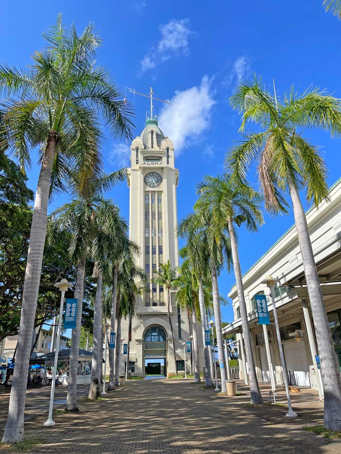 aloha-turm-mit-palmen-allee