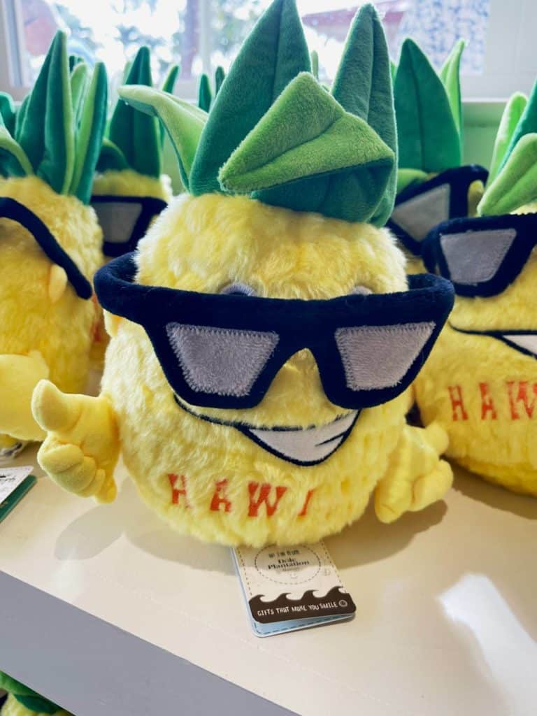 Oahu in Hawaii - die spektakulärsten Sehenswürdigkeiten + Tipps sehenswuerdigkeiten-oahu-mit-kind-dole-ananas-plantage