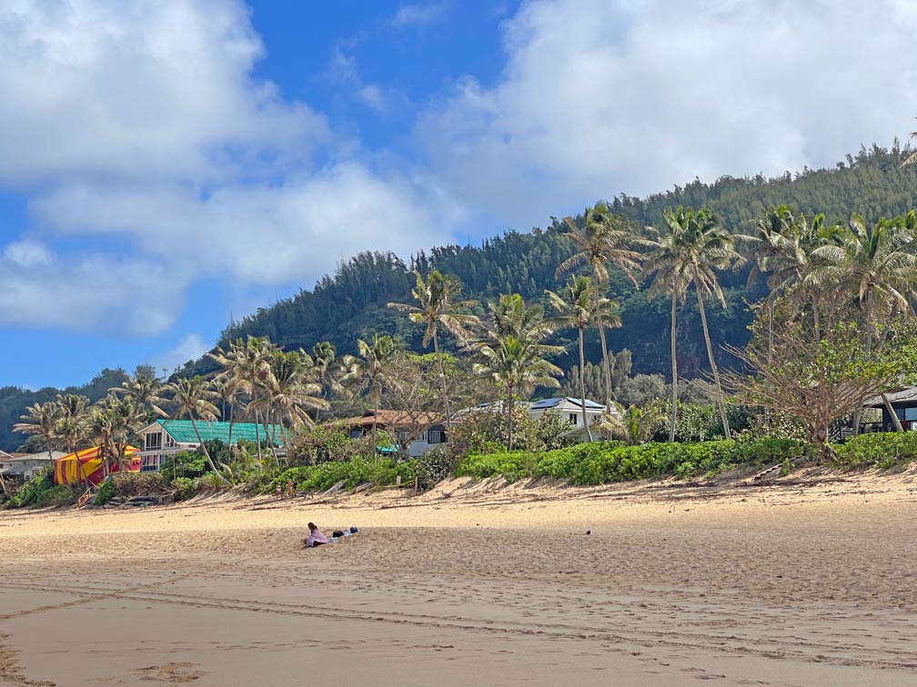 Oahu in Hawaii - die spektakulärsten Sehenswürdigkeiten + Tipps straende-hawaii-oahu-northshore