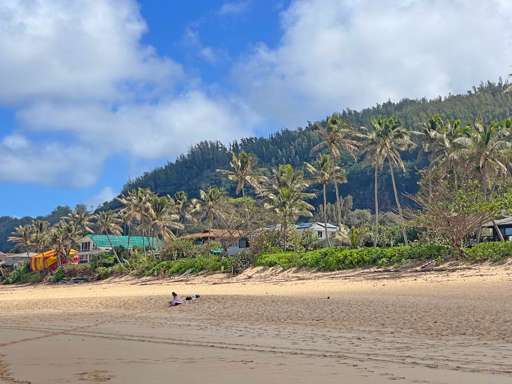 sandstrand-auf-hawaii-mit-palmen-im-hintergrund