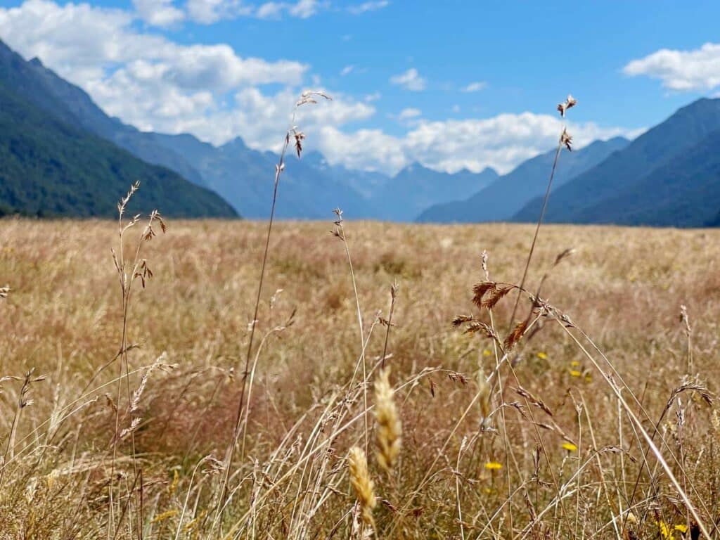 eglington valley urlaub neuseeland reiseroute