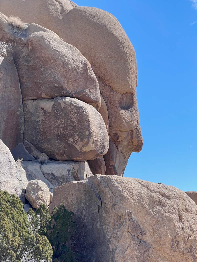 Joshua Tree Nationalpark Schönheit der Wüste Kaliforniens