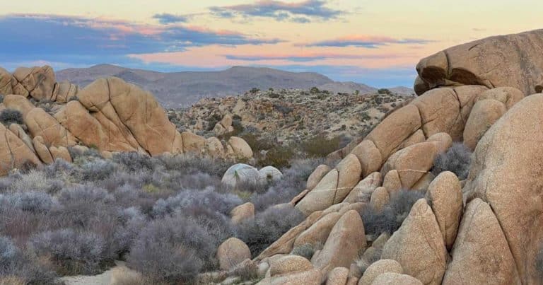 Read more about the article Magische Wüstenlandschaften: Ein Abenteuer im Joshua Tree Nationalpark