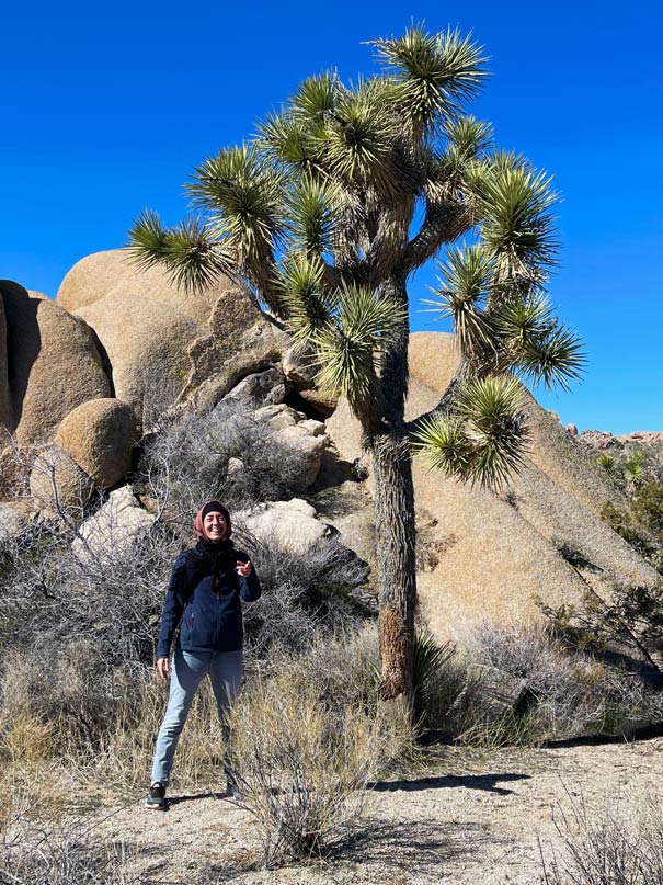 freu-steht-lachend-neben-einem-joshua-tree-im-hintergrund-hohe-felsen