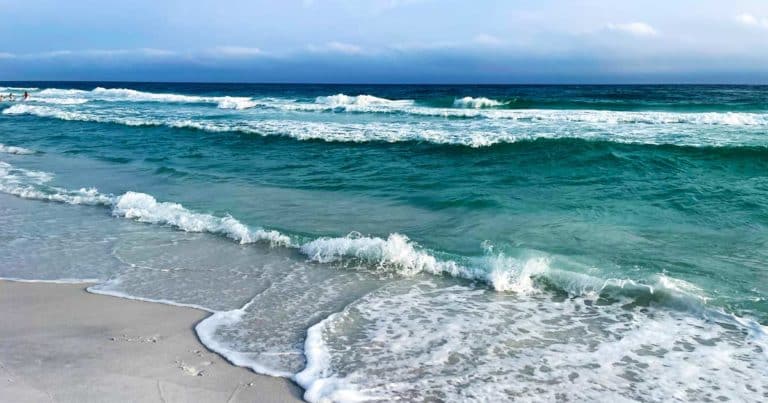 Mehr über den Artikel erfahren Florida mit Kindern | 6 Highlights für die ganze Familie
