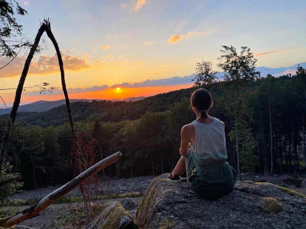 frau-auf-stein-im-wald-bei-sonnenuntergang-rueckkehr-weltreise-tipps-nicht-ins-loch-fallen