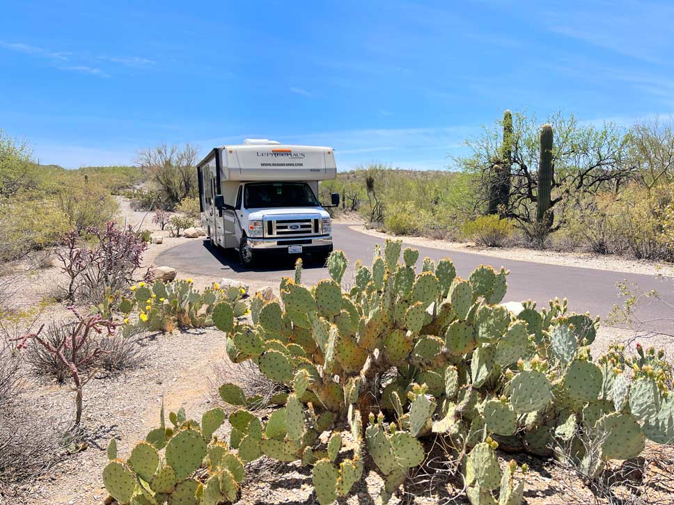 wohnmobil-vor-kakteen-im-saguaro-nationalpark-usa