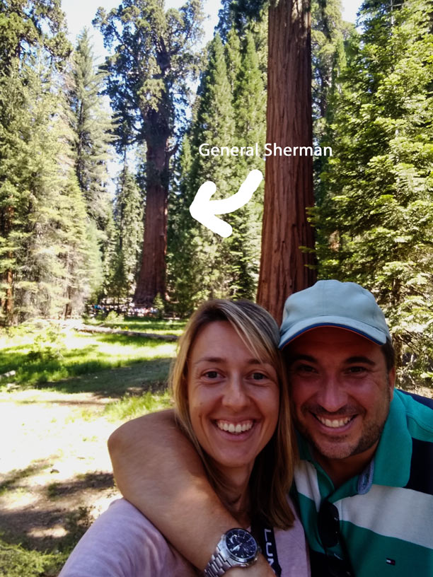 lachendes-ehepaar-vor-dem-general-sherman-tree-im-sequoia-nationalpark