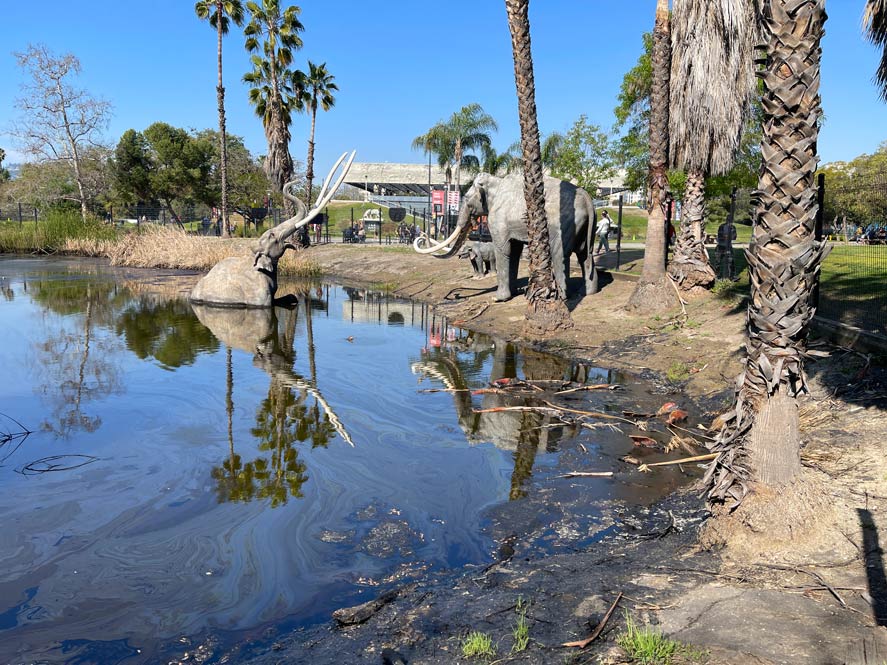 la-brea-tar-pits-sehenswuerdigkeiten-los-angeles-mit-kind