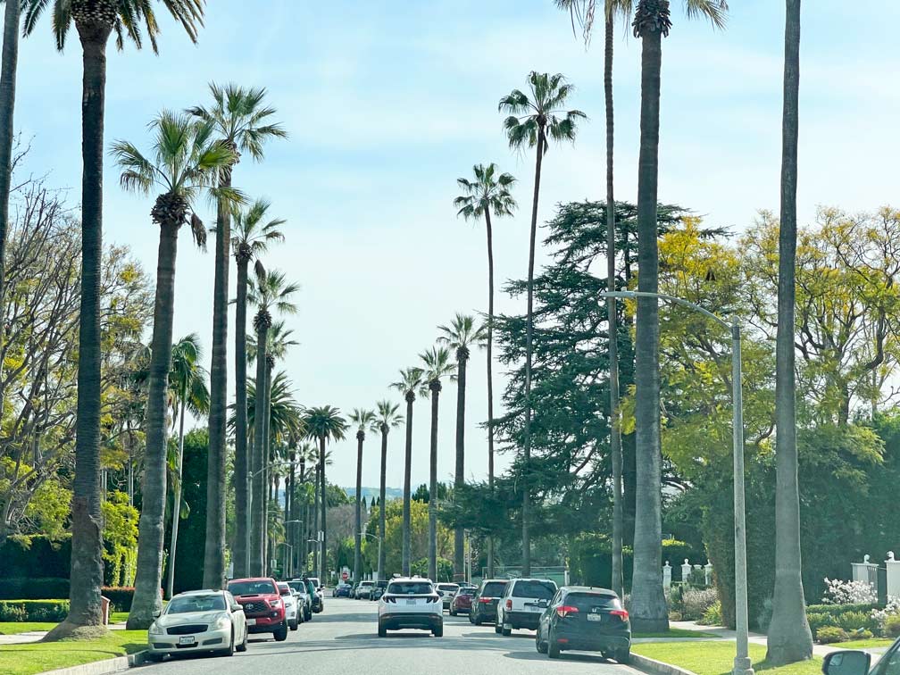 13 TOP - Sehenswürdigkeiten in Los Angeles mit Kindern los-angeles-mit-mietwagen-sunset-boulevard