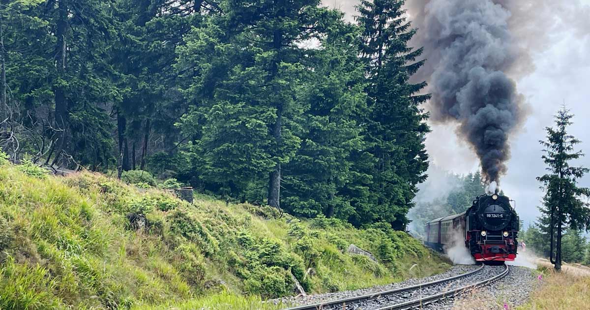 Du betrachtest gerade Vom Brocken bis zur Burgruine – die schönsten Sehenswürdigkeiten im Harz