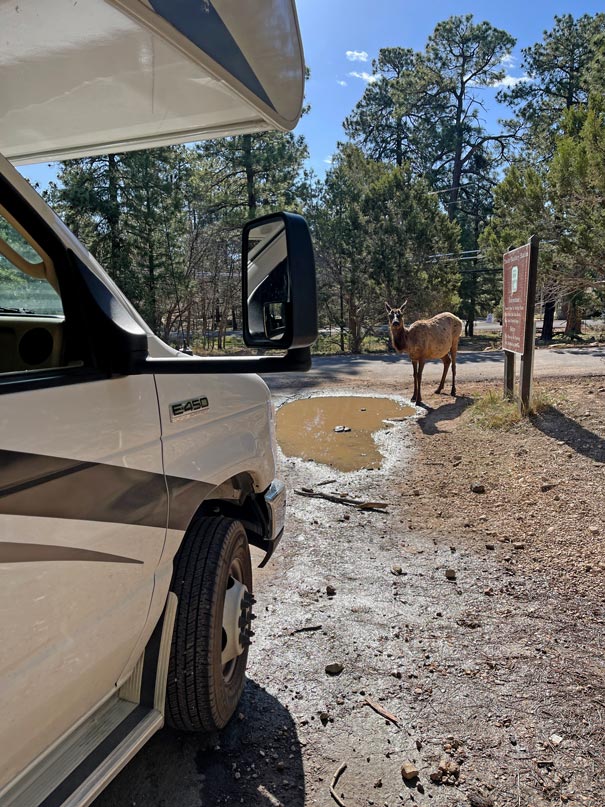 Urlaub mit dem Camper in den USA - praktische Tipps und Infos dumping-usa-tipps-wohnmobil-urlaub