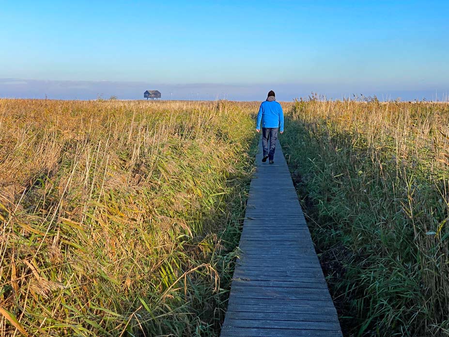 mann-auf-holzsteg-im-schilf-de-kiekkaaste-sehenswuerdigkeiten-ostfriesland-wattenmeer