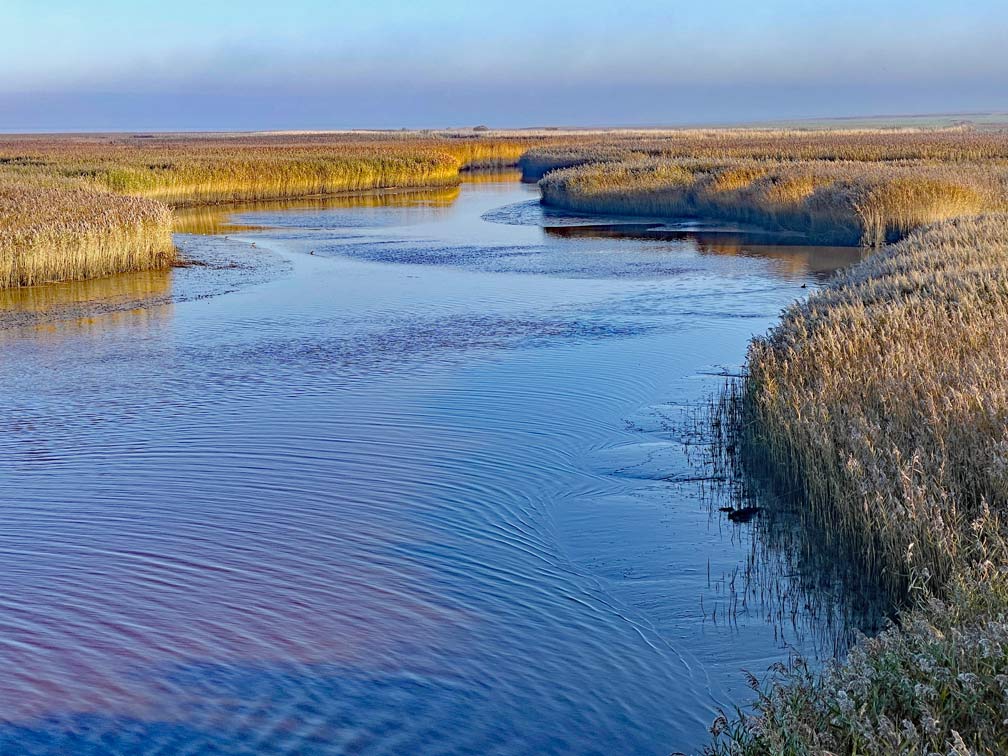 ausblick-dollart-de-kiekkaaste-urlaub-in-ostfriesland-wattenmeer