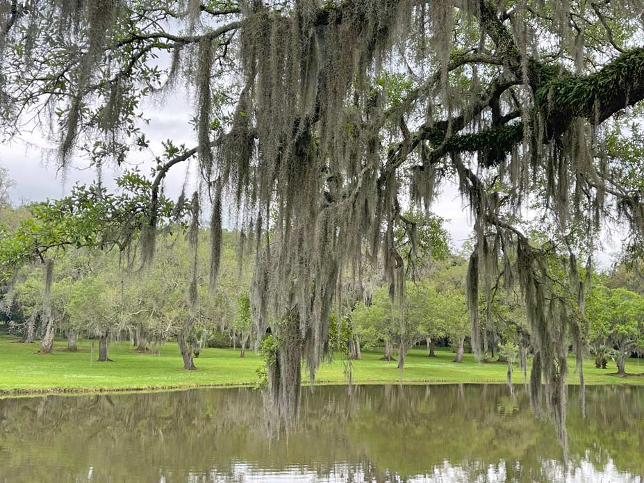 avery island tabasco museum sehenswuerdigkeiten louisiana usa