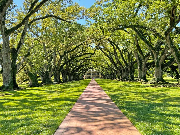 eichenallee oak alley plantation plantagen bei new orleans louisiana highlights