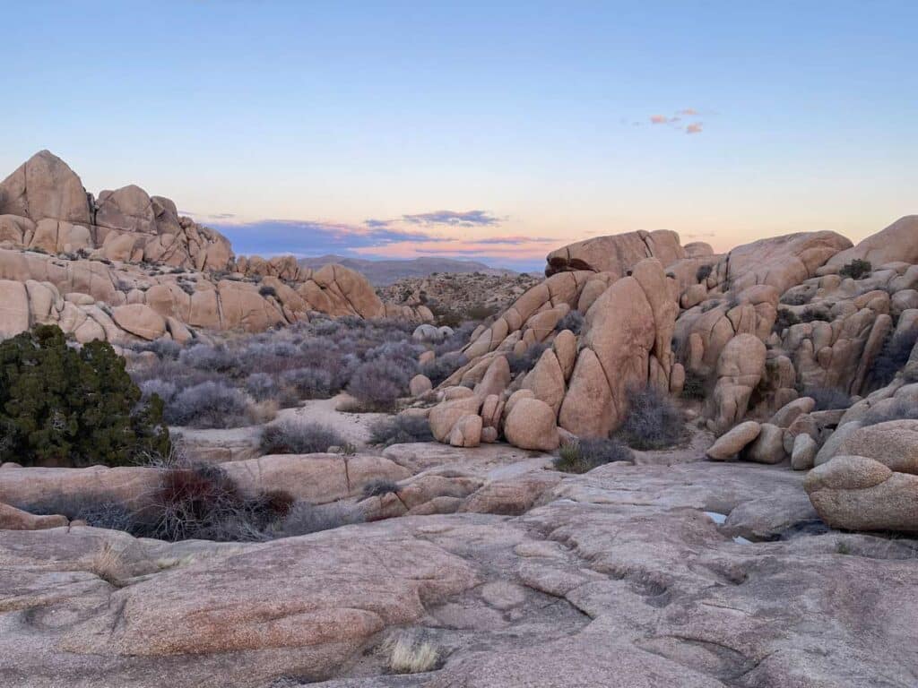 Fotoparade 2023 joshua-tree-nationalpark-fopa-2023
