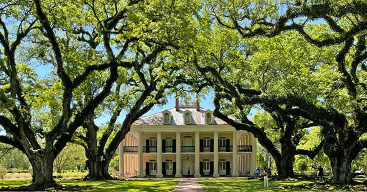 You are currently viewing Südstaatenzauber: Louisiana Sehenswürdigkeiten (mit Oak Alley Plantation)