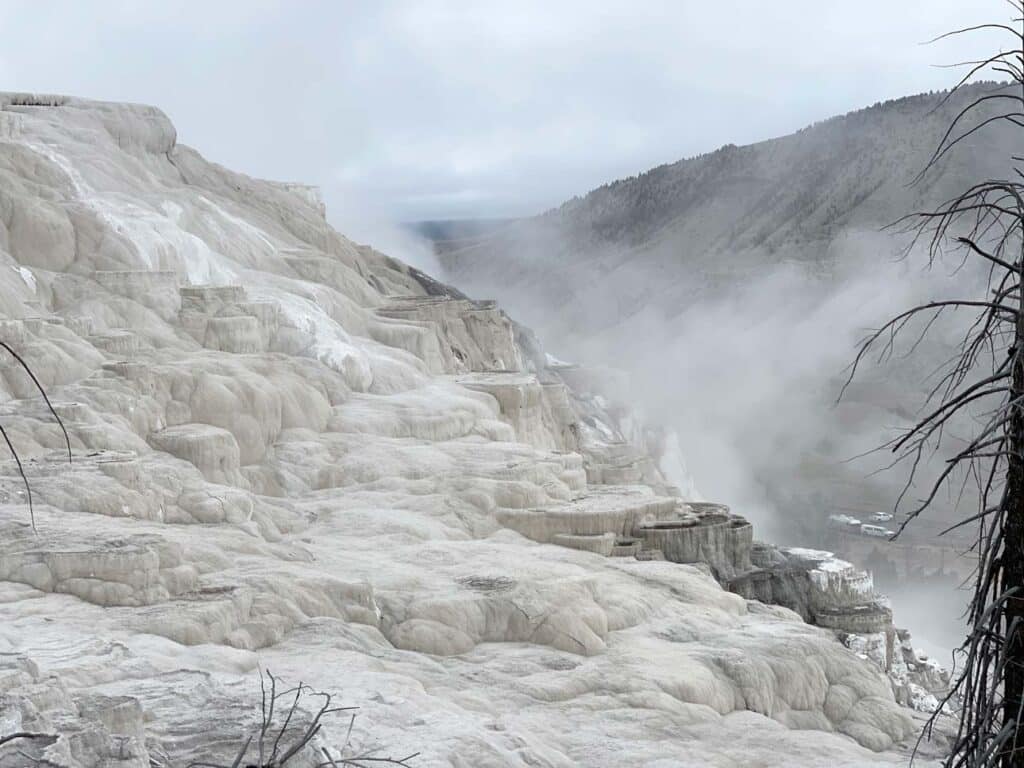 Yellowstone Nationalpark canary springs in mammoth hot springs weiße becken im geothermalen gebiet