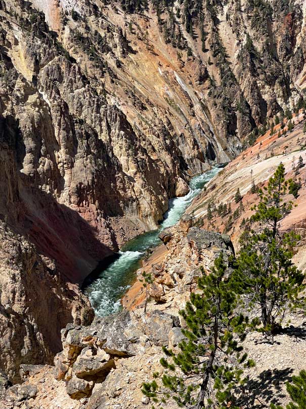 schlucht im yellowstone