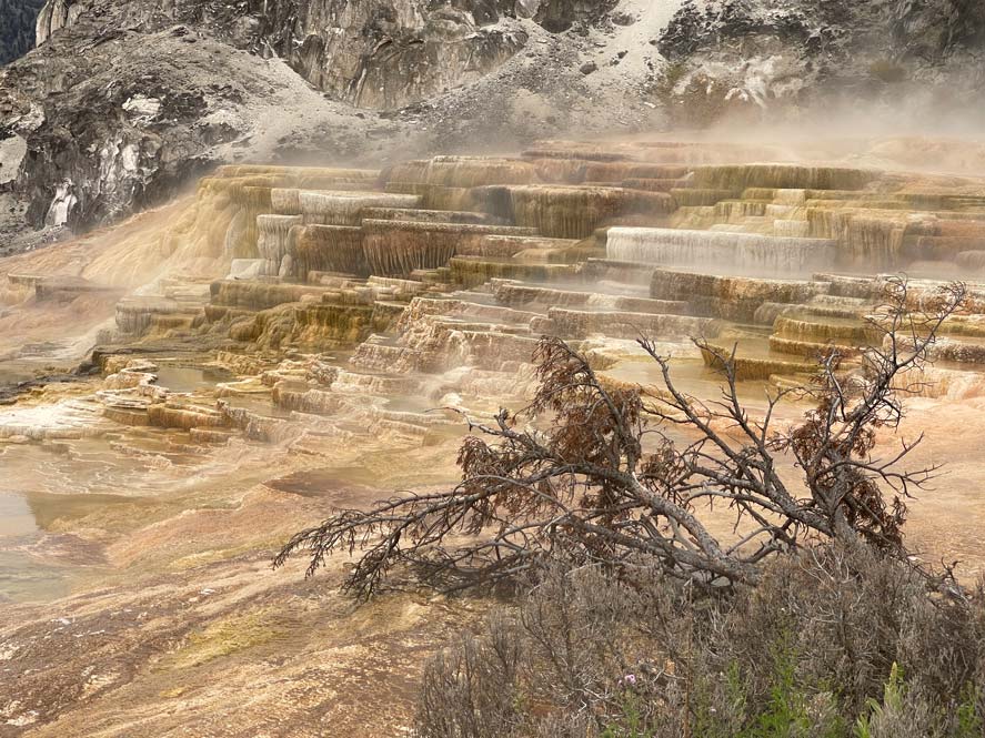Yellowstone Nationalpark mammoth hot springs terrassenförmige geothermale becken