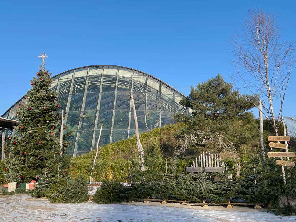 Center Parcs Les Trois Forets - Familienurlaub im Elsass weihnachtlich-geschmueckter-centerparc-market-dome-von-außen-mit-weihnachtsbaum