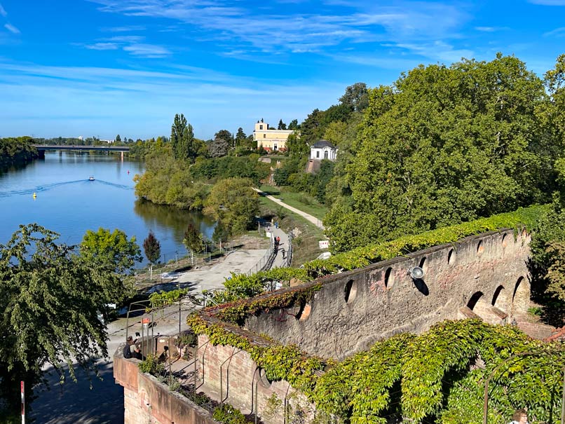 blick auf pompejanum am main