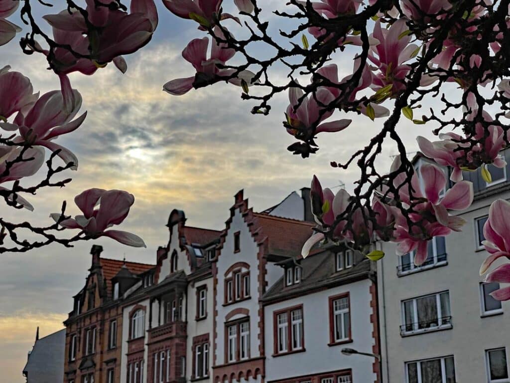 ausflugsziel aschaffenburg mit kindern