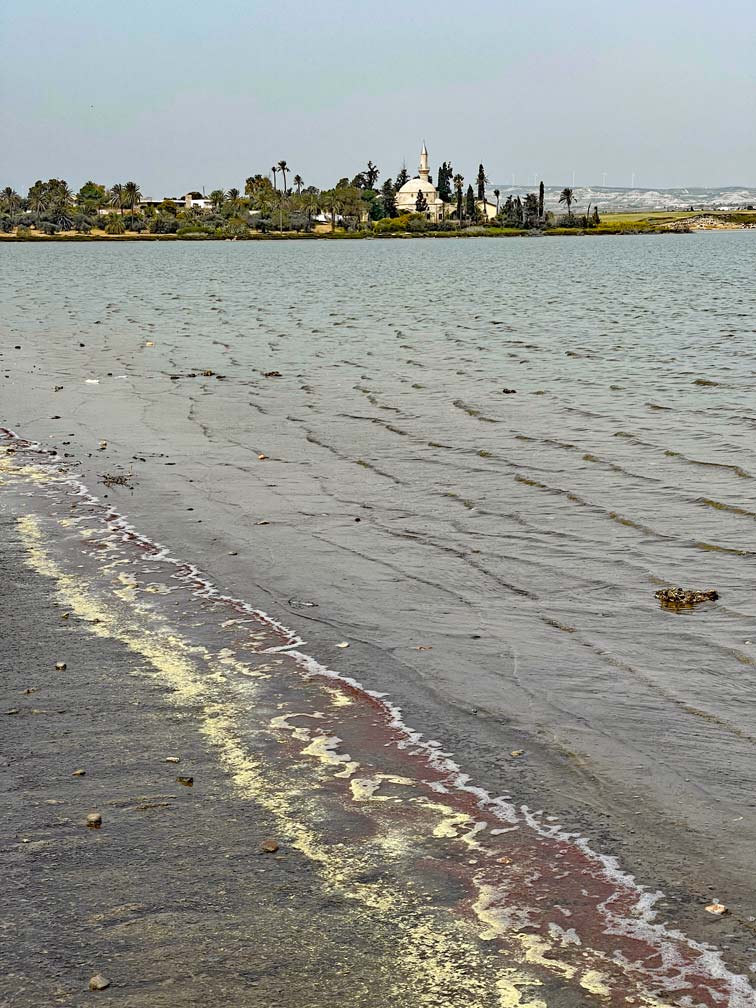 blick-ueber-larnaka-salzsee-auf-moschee