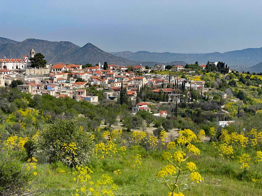 bluehende-wiese-mit-blick-auf-das-bergdorf-pano-lefkara-im-hintergrund-auslaeufer-trodoos-gebirge