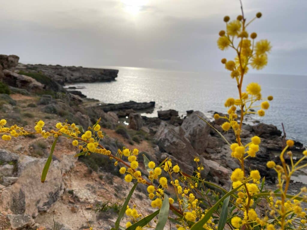 wanderung kap greco ayia napa sehenswuerdigkeiten